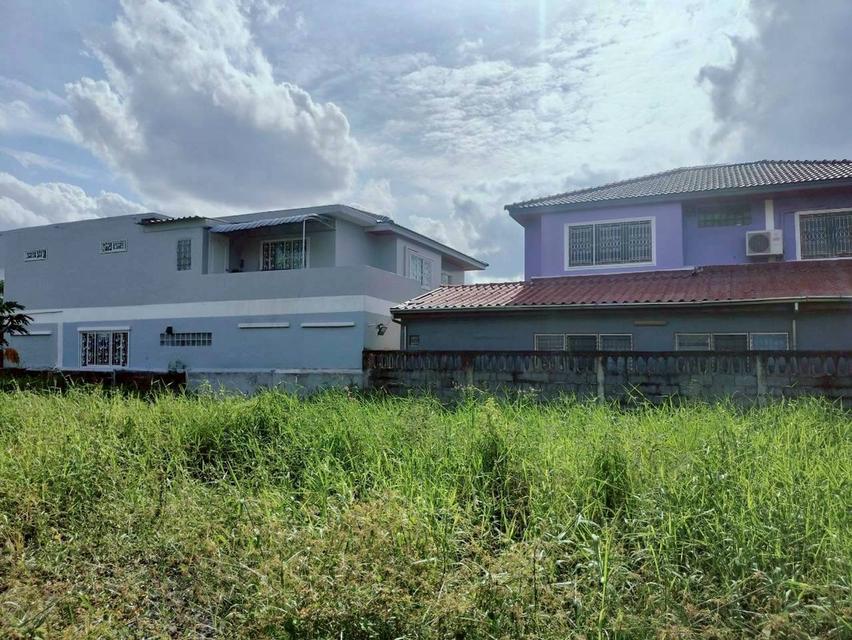 Vายที่ดินทำเลดี 157 ตารางวา ติดถนนคอนกรีต ซอย รังสิต-นครนายก 62 อ.ธัญบุรี จ.ปทุมธานี 6