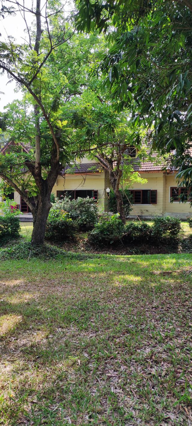 ที่ดินพร้อมบ้านสวนผลไม้