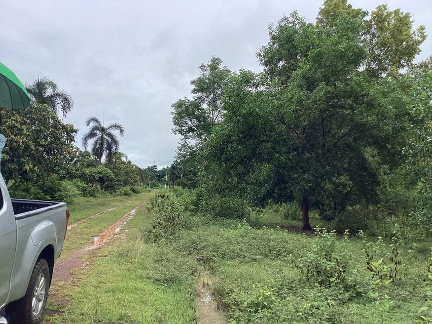 ที่ดินทำเลทอง!ติดถนนเมนหลักใกล้มหาลัยนครพนม 12