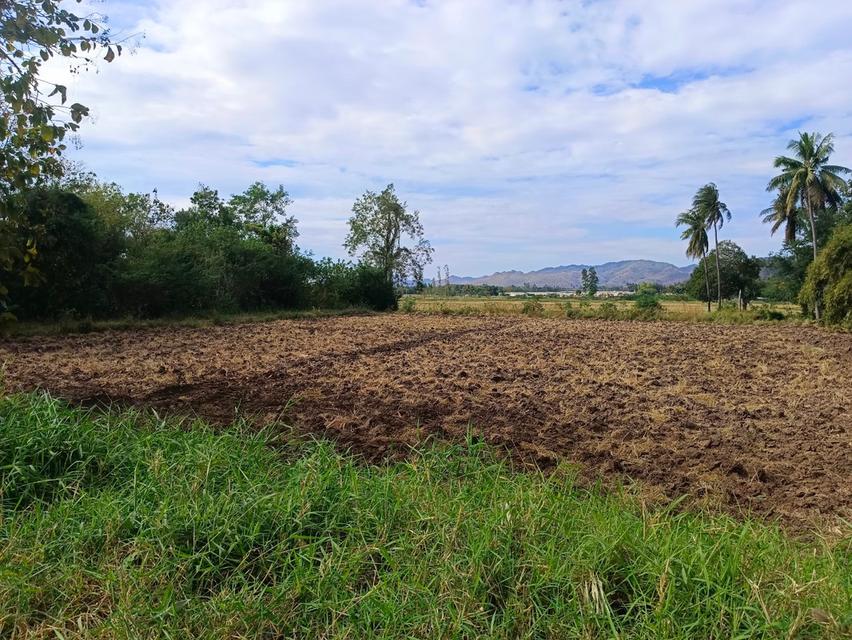 ที่ดินริมถนนอดิเรกสาร อ.แก่งคอย จ.สระบุรี 26.5 ไร่ เจ้าของขายเองแบบลดราคาถูกที่สุด 3