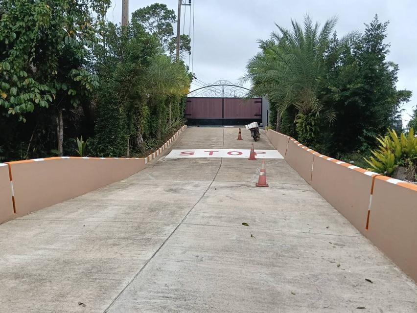 ที่ดินซีวิวบนเกาะสมุยอากาศดีถนนไฟฟ้าพร้อม 5