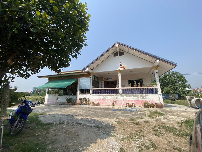 ขายบ้านพร้อมที่ดิน 360 ตารางวา 4