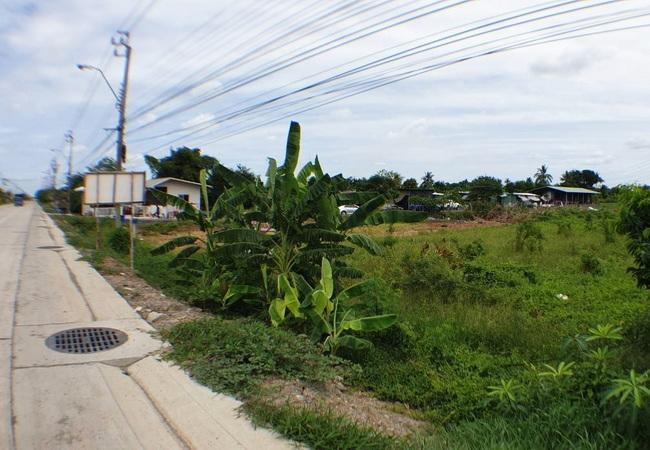 ขายที่ดิน ติดถนนบ้านกล้วย-ไทรน้อย ตำบลไทรน้อย อำเภอไทรน้อย นนทบุรี 4