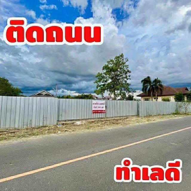 ที่ดิน240ตรว อำเภอหางดง จังหวัดเชียงใหม่ 1
