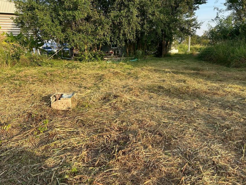 ขายที่ดิน 5 ไร่ ทำเลทองหนองตำลึง ใกล้นิคมอมตะนคร 9