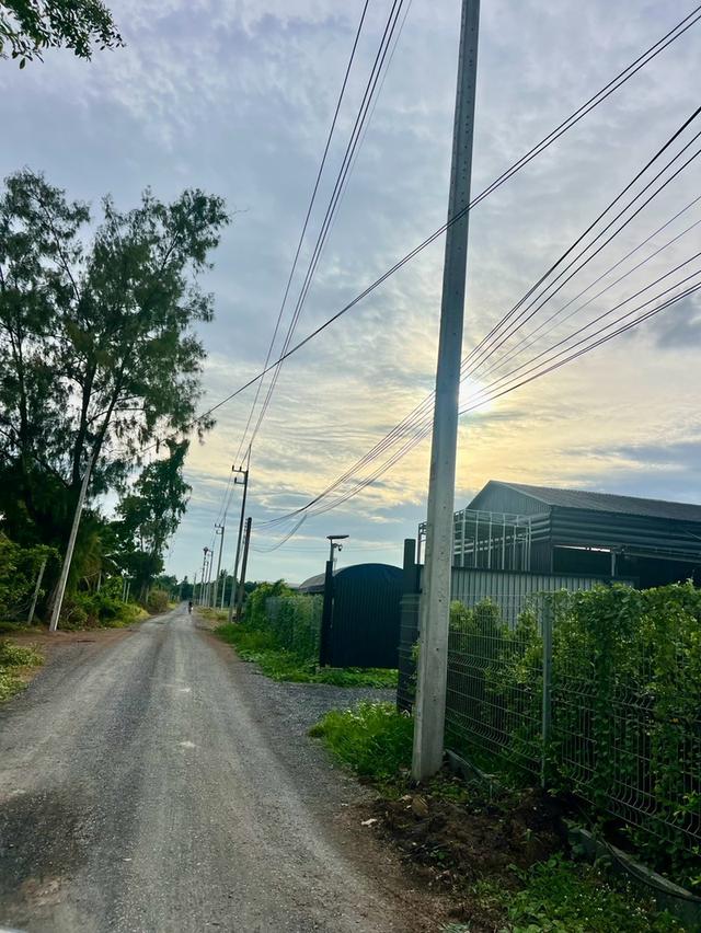 ที่ดินแปลงเล็ก เหมาะทำบ้านพัก ซ.พนารัตน์คลอง 9 อ.หนองเสือ จ.ปทุมธานี 11