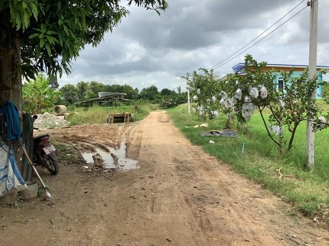 ขายที่ดินท่าบุญมี 2 ไร่ ติดคลอง ใกล้ถนน4เลนเส้น331-850เมตร อ.เกาะจันทร์ ชลบุรี