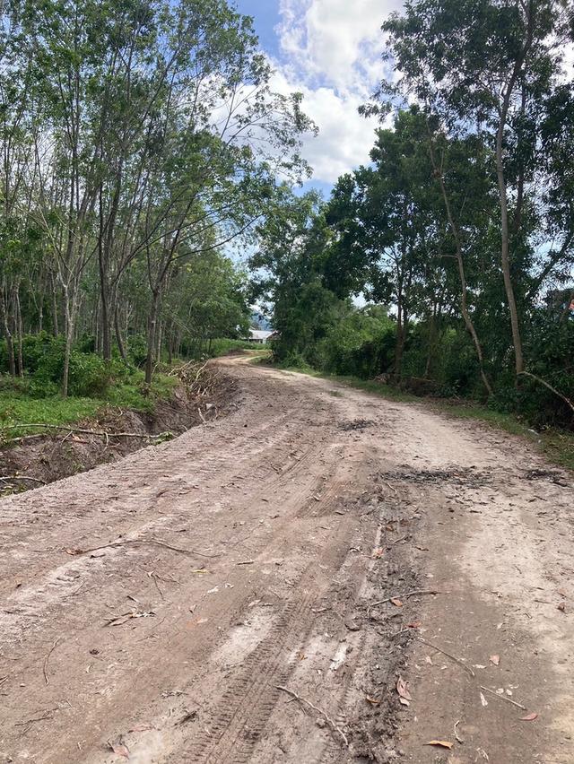 ที่ดิน 9ไร่ 1งาน 98ตารางวา หาดใหญ่ 7