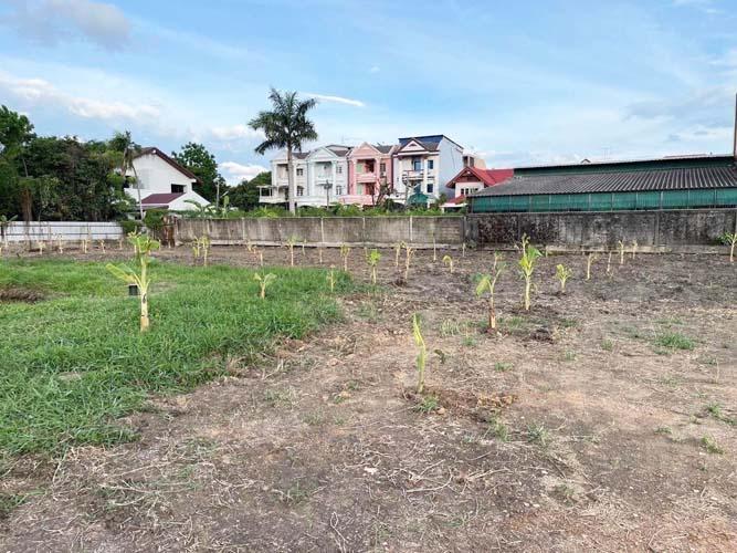 L-144 : ที่ดิน 2-2-71 ไร่ เข้าจาก ถ.กาญจนาภิเษก 180 เมตร ซ.อัศวพิเชษฐ์ 10 (ซ.สวนผัก 45) ตลิ่งชัน 16