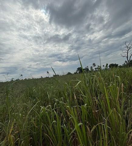 ขายที่ดินนิคมพัฒนาระยอง ขายที่ดินระยองทำเลดีเนื้อที่ 9 ไร่ พิกัด ซอย 13 สาย 7 อ.นิคมพัฒนา จ.ระยอง ผัง สีม่วงลาย 4