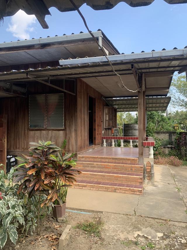 บ้านพร้อมที่ดินในตัวเมืองเชียงดาว 19