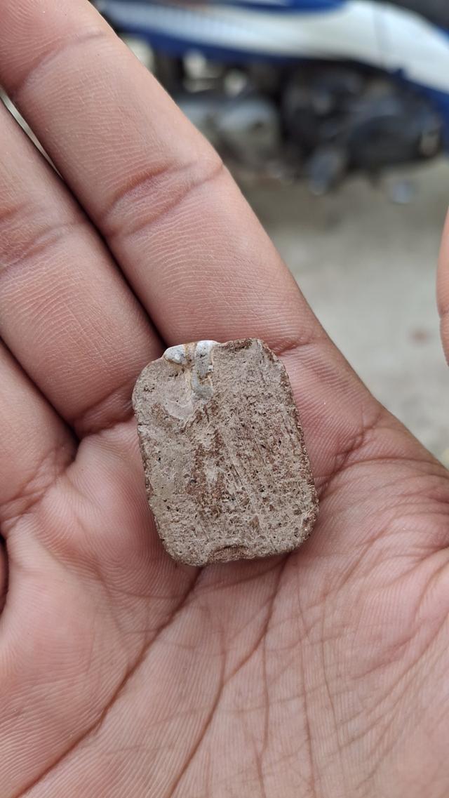 หลวงพ่อปาน ปี2527 พิมพ์ขี่เม่น (หลวงพ่อฤาษีลิงดำปลุกเสก) รูปย่อยที่ 2