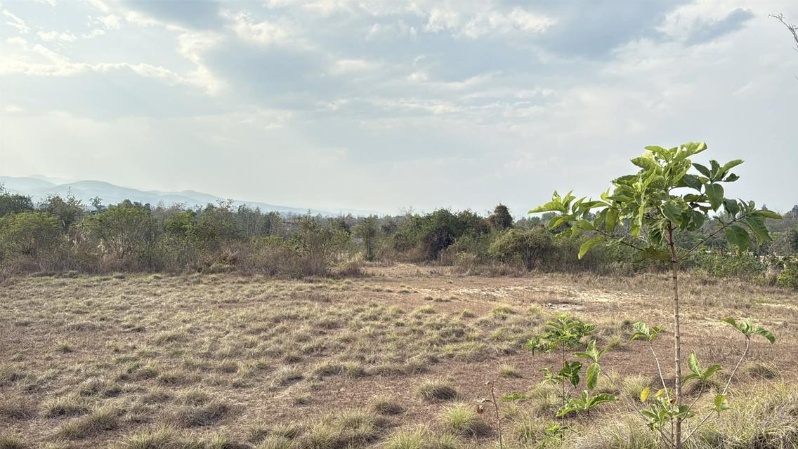 ขายที่ดิน อำเภอแม่ริม จังหวัดเชียงใหม่ 4