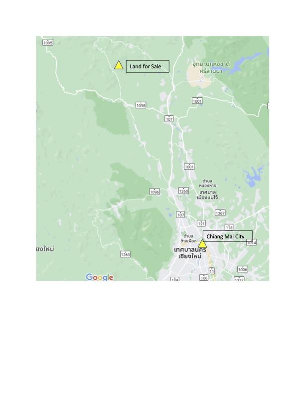 ขายที่ดินสวนลิ้นจี่ วิวดอย อากาศดี ทางไปไร่ชาลุงเดช ม่อนเงาะ แม่แตง เชียงใหม่ 3