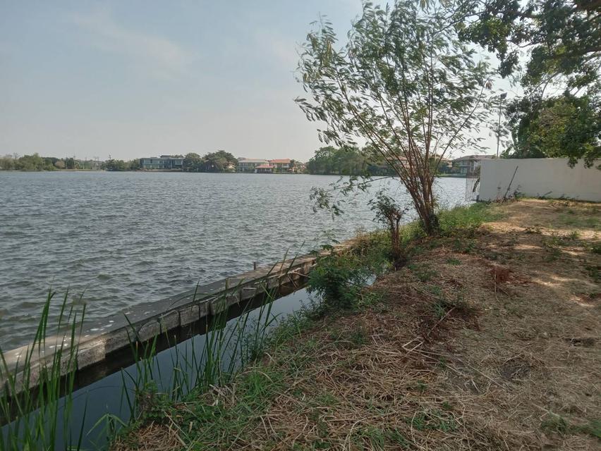 ขายที่ดินเปล่า 235 ตรว.ติดทะเลสาบ อยู่ในโครงการหมู่บ้านเดอะลากูน 1 ปทุมธานี 7