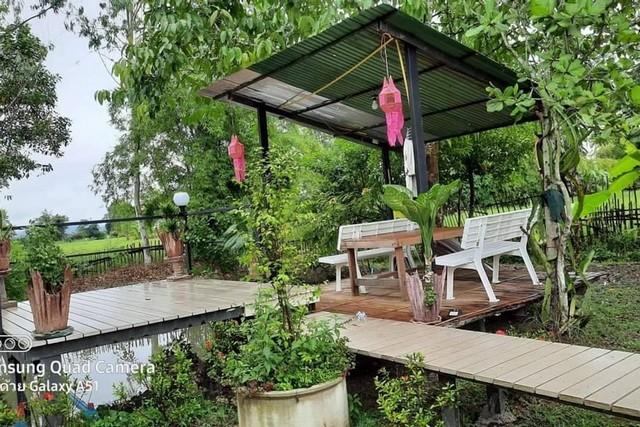 ขายที่ดินพร้อมสิ่งปลูกสร้าง (ร้านอาหาร) เนื้อที่ 1 ไร่ 2 งาน 85 ตรว. ต.สันโป่ง อ.แม่ริม จ.เชียงใหม่ 8