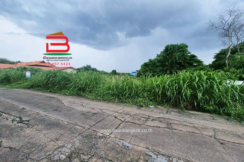 ที่ดินเปล่า ซอยเทพกุญชร 36 (คลอง 1) เนื้อที่ 100 ตรว. ใกล้ตลาดไท ถ.พหลโยธิน ต.คลองหนึ่ง อ.คลองหลวง จ.ปทุมธานี