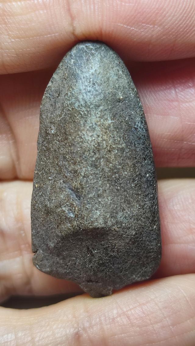 หลวงปู่ทวด เก่า เนื้อว่าน ใหญ่ รูปที่ 2