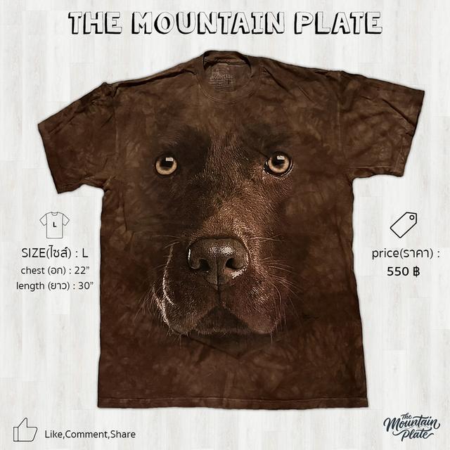 เสื้อยืด The Mountain