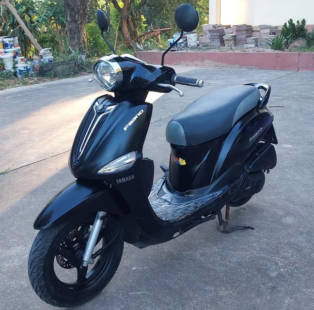 ฟีลาโน่ filano ฟีลาโน่