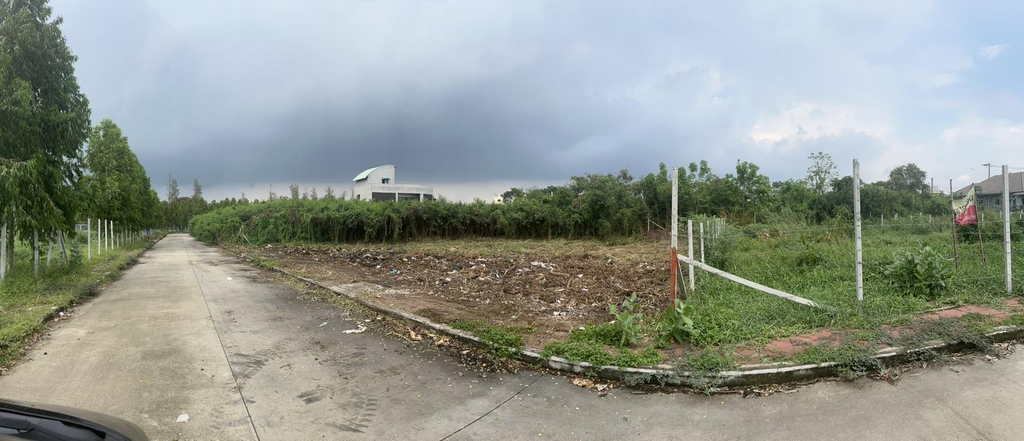 ขายที่ดินสวนหลวงร.9 ประเวศ 224 ตร.วา 3