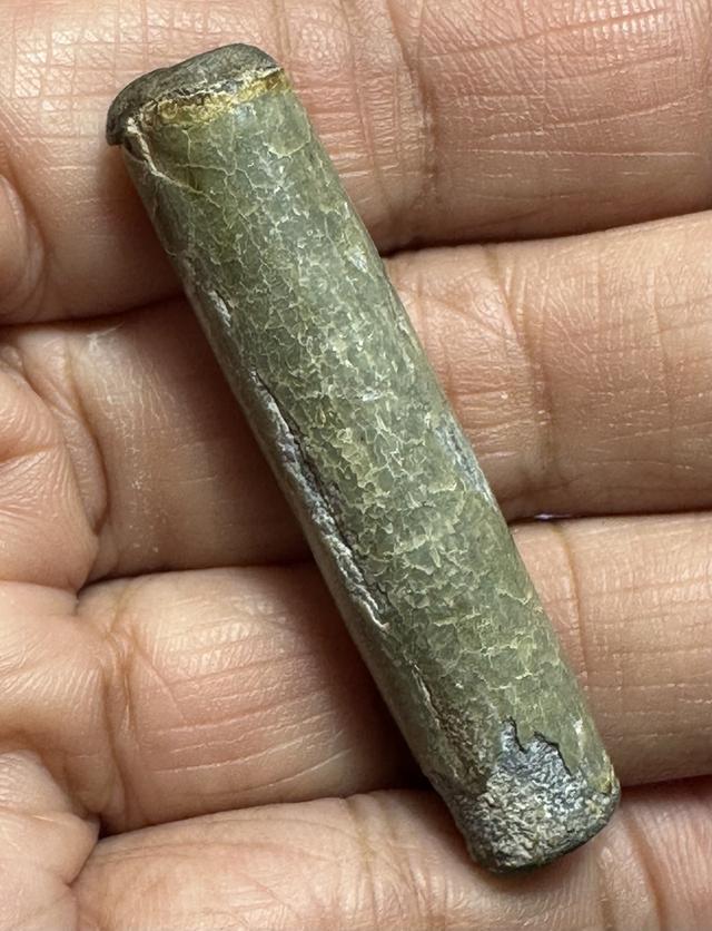 ตะกรุดสาลิกาหลวงปู่ศุขวัดปากคลองมะขามเฒ่า ผ่านการใช้เชือกหลุดหาย