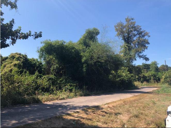 ที่ดิน 129ไร่ อำเภอเมืองปราจีนบุรี 3