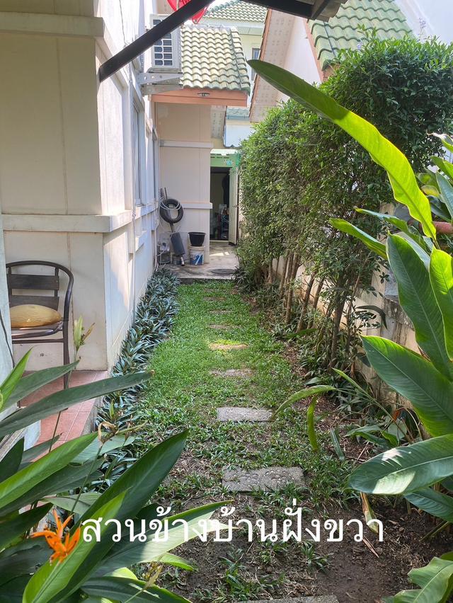 บ้านเดี่ยวพร้อมที่ดิน 8