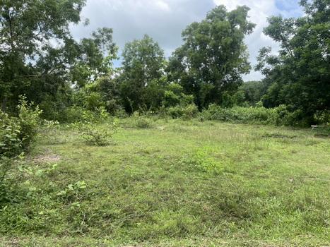 (ขาย)ที่ดิน 200 ตารางวา มีโฉนด ถมแล้วเต็มพื้นที่ หน้าโรงพยาบาลปากพลี ขาย 7 แสนบาท 16