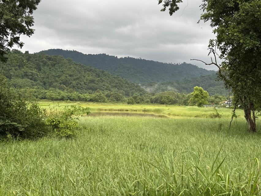 ที่ดินวิวเขาพร้อมบ้าน 1