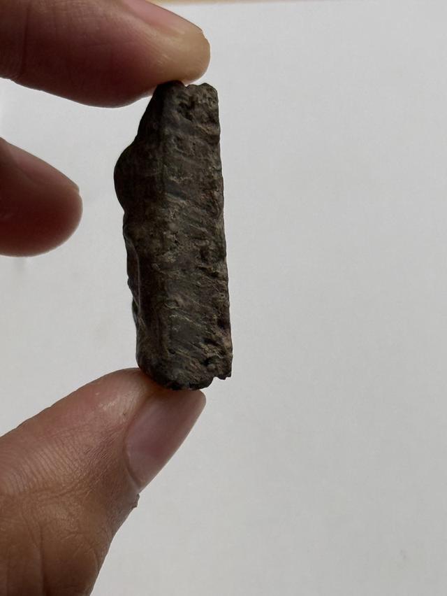 พระนางพญา จังหวัดพิษณุโลก รูปที่ 3