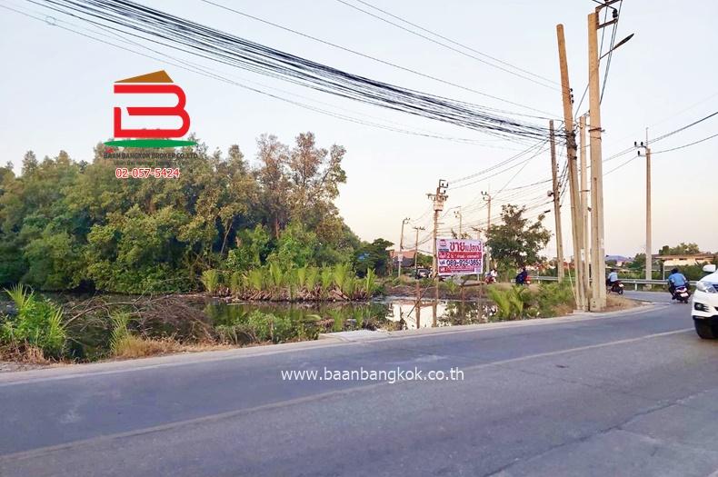 ที่ดินเปล่า เนื้อที่ 2-2-42 ไร่ ในคลองบางปลากด วัดใหญ่-คู่สร้าง ถนนสุขสวัสดิ์ ตำบลในคลองบางปลากด อำเภอพระสมุทรเจดีย์ จังหวัดสมุทรปราการ 3
