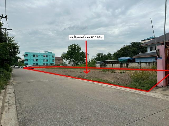 ขายที่ดิน 1ไร่ หน้ากว้าง 80 เมตร ซอยรังสิตนครนายก39 ใกล้ฟิวเจอร์ปาร์ครังสิต แปลงสี่เหลี่ยมผืนผ้า 5