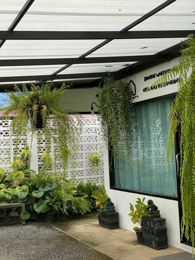 ขายบ้านพร้อมกิจการร้านอาหาร “ครัวบ้านไร่” 9