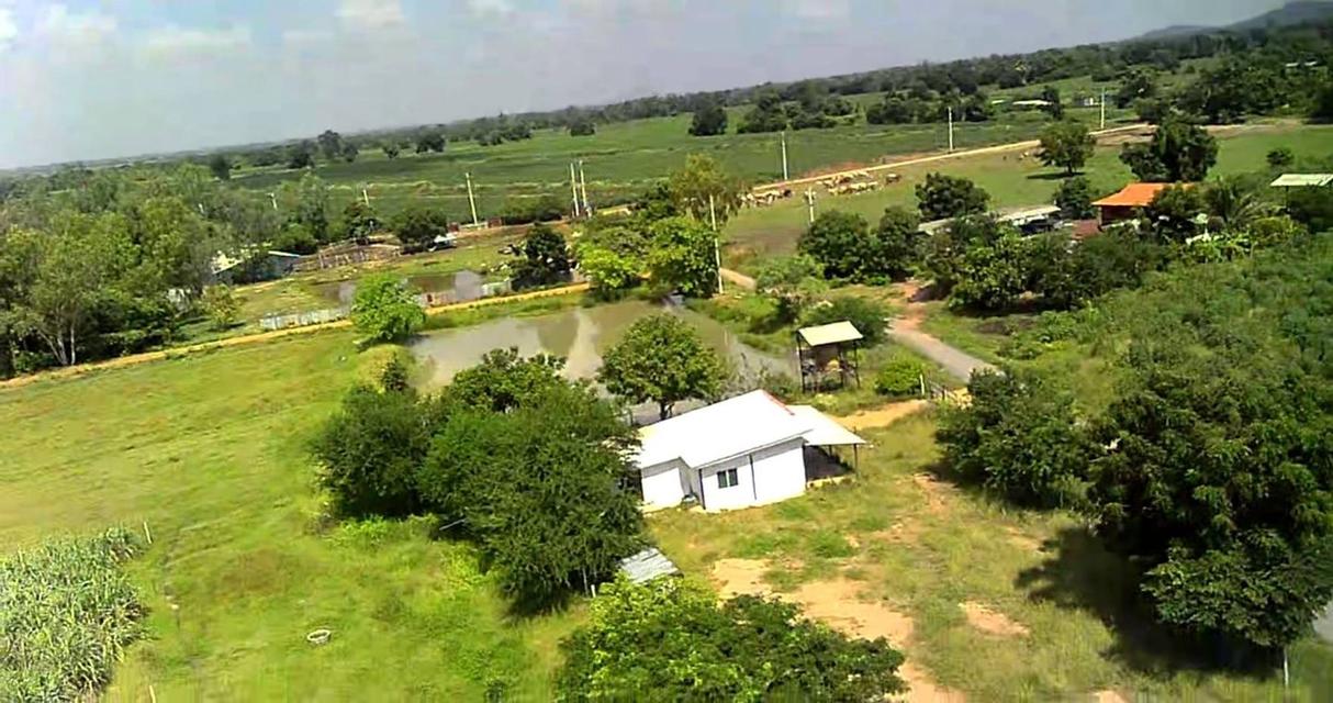 ขายที่ดินเปล่า ทำเลดี ติดถนนปูน ไฟฟ้าถึง จังหวัดสุพรรณบุรี 3