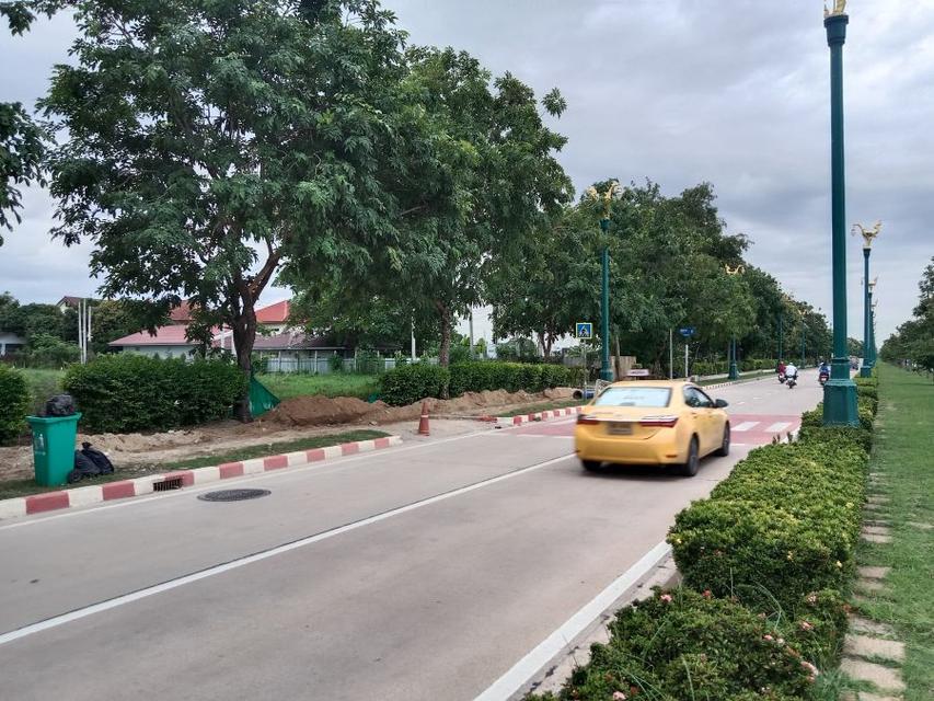 ที่ดินติดถนนอุทยาน(ถนนอักษะ)892ตรว. ใกล้พุทธมณฑลสาย3 2
