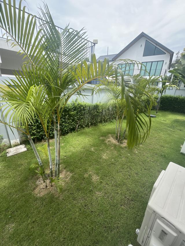 For Rent Pool Villa Pattaya  14