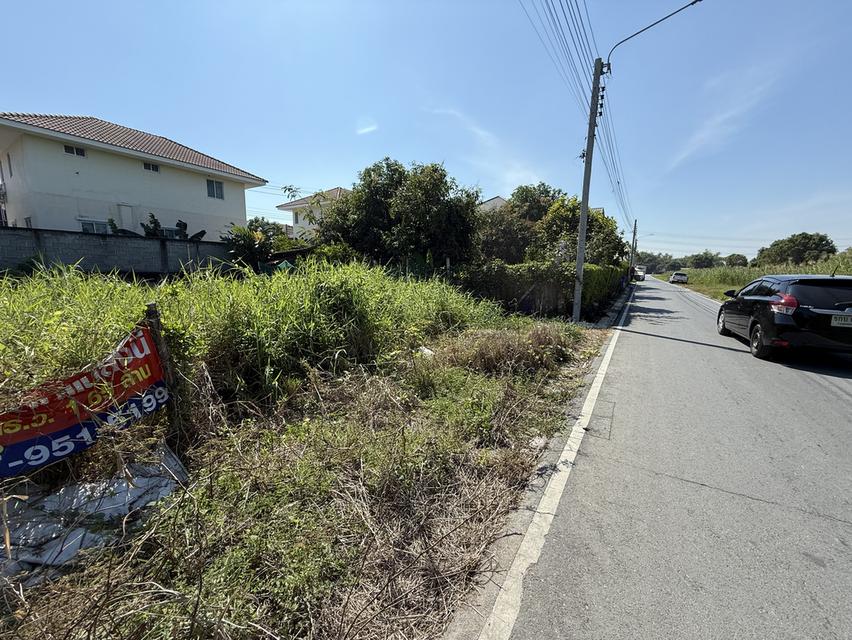 ที่ดินถมแล้ว ไทรน้อย 6