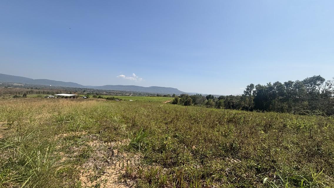 ที่ดิน เปล่า อยู่ติดถนน 304 เพียง 5 นาที วิวสวย บนภูเขา วังน้ำเขียว 7