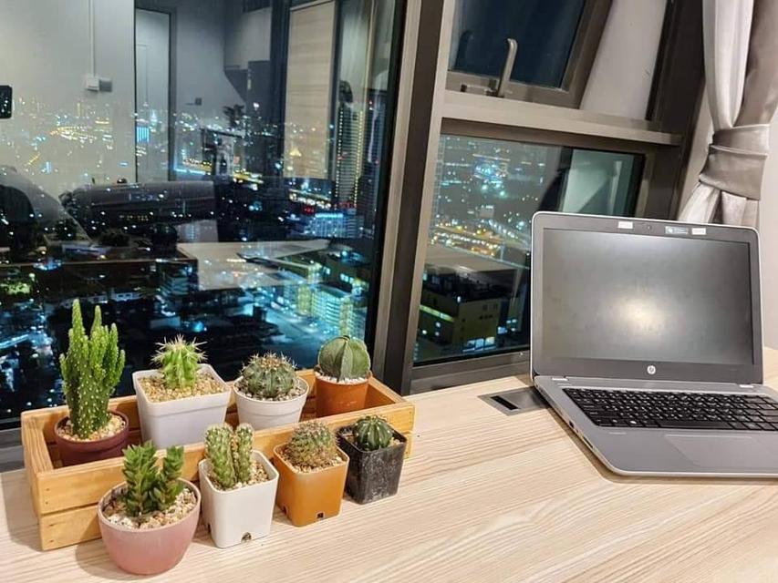 ให้เช่าคอนโด 1ห้องนอน BTSห้าแยกลาดพร้าว Life Ladprao (ไลฟ์ ลาดพร้าว) 7