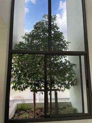 🏢 For Rent – ARKIN Vibhavadi 84  NEAR HARROW 3น4น บ้านให้เช่าบ้านสไตล์  HOME OFFICE วิภาวดี 84  รับจดทะเบียนบริษัท Company registration allowed”** ✅  16