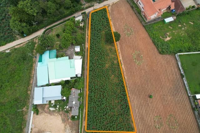 ขายที่ดินใกล้อ่างเก็บน้ำมาบประชัน/Land for sale #Pattaya ตั้งอยู่ ต.โป่ง อ.บางละมุง จ.ชลบุรี 8