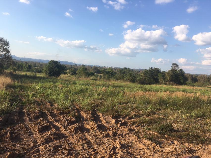 ขายที่ดินแปลงเดียว สูงกว่าถนน 42 ไร่ วิวภูเขา 360 องศา ที่ดินเป็นเนินหลังเต่า มองวิวทิวทัศน์รอบด้านเหมือนพญาอินทรีย์ครับ 4