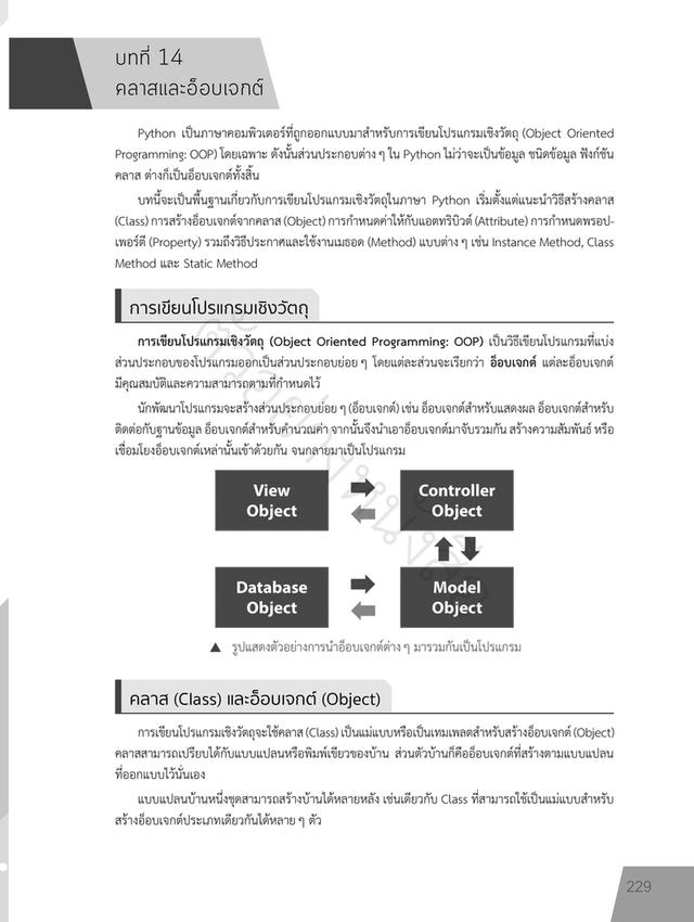 หนังสือ มือใหม่ Python เก่งได้ใน 30 วัน