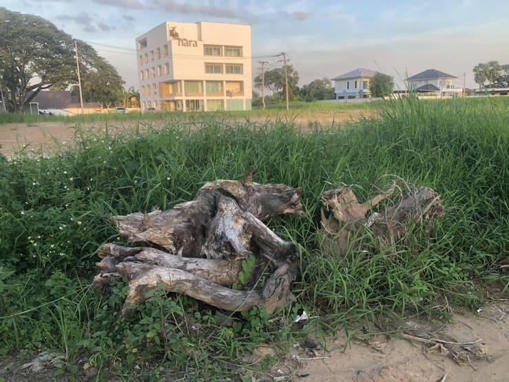 ขายที่ดิน 1 ไร่ 3 งาน 80 ตรว. ตำบลในเมือง จังหวัดพิษณุโลก ขายตรว.ละ 16,000 บาท