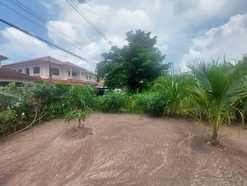 ขายที่ดิน ซอยบางแวก 154 ขนาด 136 ตร.ว ใกล้สี่แยกทศกัณฑ์ พุทธมณฑลสาย 2  * ขาย ตร.ว ละ 40,000 บาท (ยกแปลง 5.44 ล้าน) 5