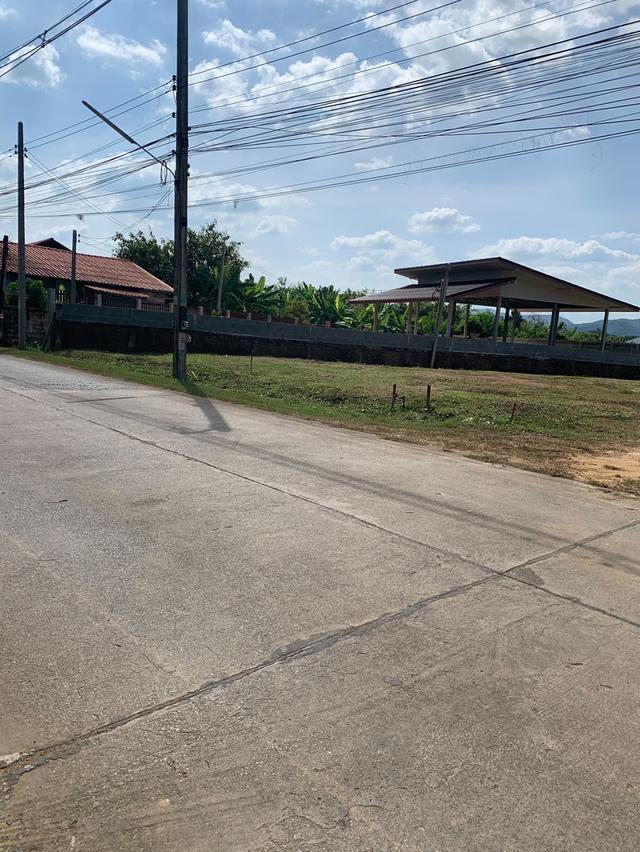 ขายที่ดิน จังหวัดแพร่ 6