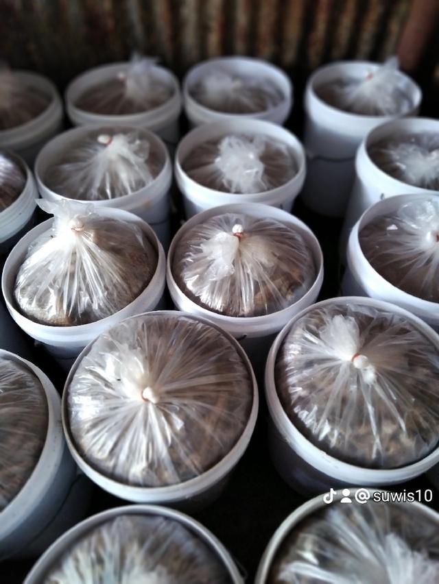ปลาร้าโหน่งสูตรส้มตํา 6