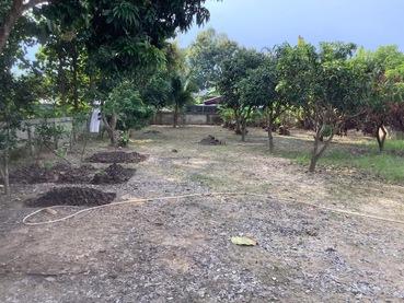 ขายบ้านเดี่ยวชั้นเดียว หมู่บ้านทรายมูล อำเภอแม่จัน จังหวัดเชียงราย 8