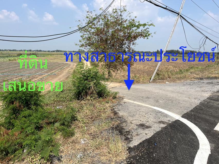 ขายที่ดินติดถนนสายอยุธยา อ่างทอง 083 610 6693 7